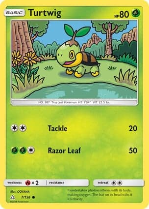 Carta Turtwig