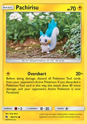 Carta Pachirisu