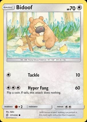 Carta Bidoof