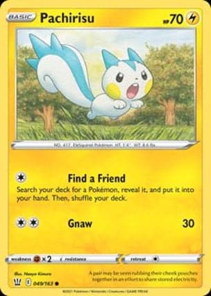 Carta Pachirisu