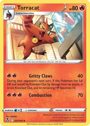 Carta Torracat