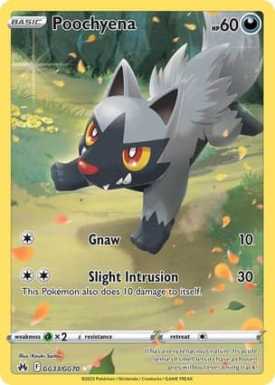 Carta Poochyena