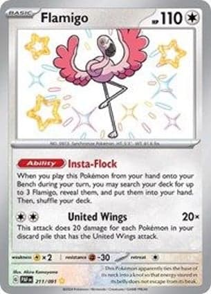Carta Flamigo