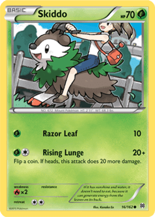 Carta Skiddo