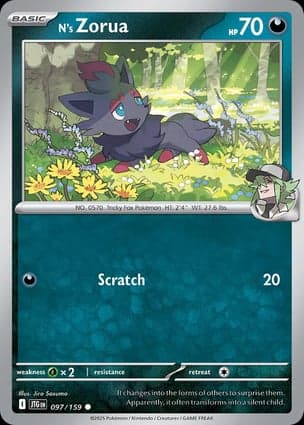 Carta Zorua do NN's Zorua