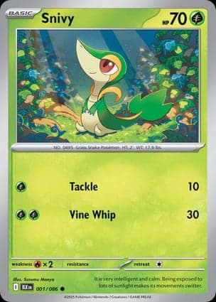 Carta Snivy
