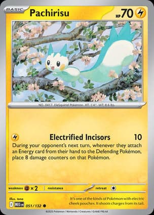 Carta Pachirisu