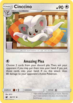 Carta Cinccino